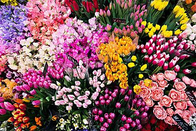 《DOTA2》TI13中国区预选赛 Team Zero携手iG出线